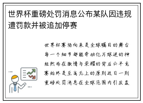 世界杯重磅处罚消息公布某队因违规遭罚款并被追加停赛