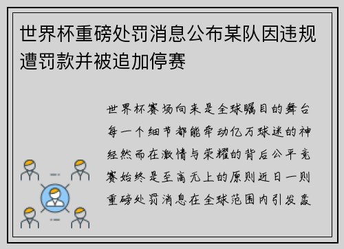 世界杯重磅处罚消息公布某队因违规遭罚款并被追加停赛