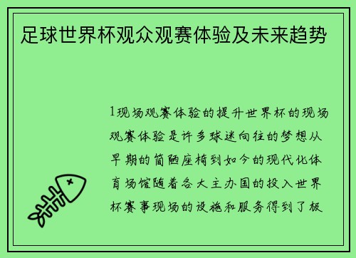 足球世界杯观众观赛体验及未来趋势
